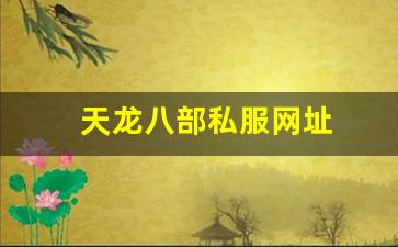 新开天龙sf：天龙八部私服网址 (5)