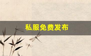 天龙八部私服发布站：私服免费发布 (12)