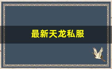 最新天龙私服 (4)