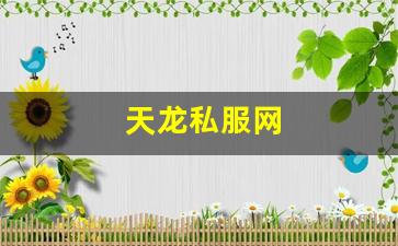 天龙私服网 (16)