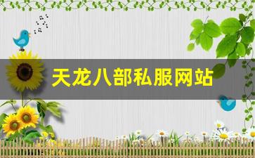 天龙八部私服网站 (4)