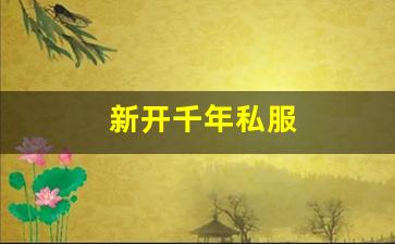 新开千年私服 (2)