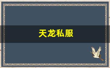 天龙八部长久服发布网：天龙私服(天龙手游) (12)