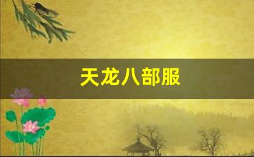 天龙八部服(天龙八部服务端修改教程) (