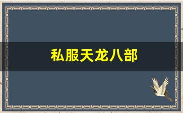 私服天龙八部 (14)