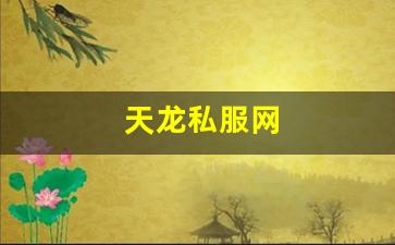 久久天龙：天龙私服网 (12)